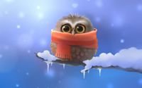 pic for Cold Owl 